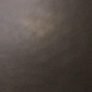 Meet your Posher, Carlene